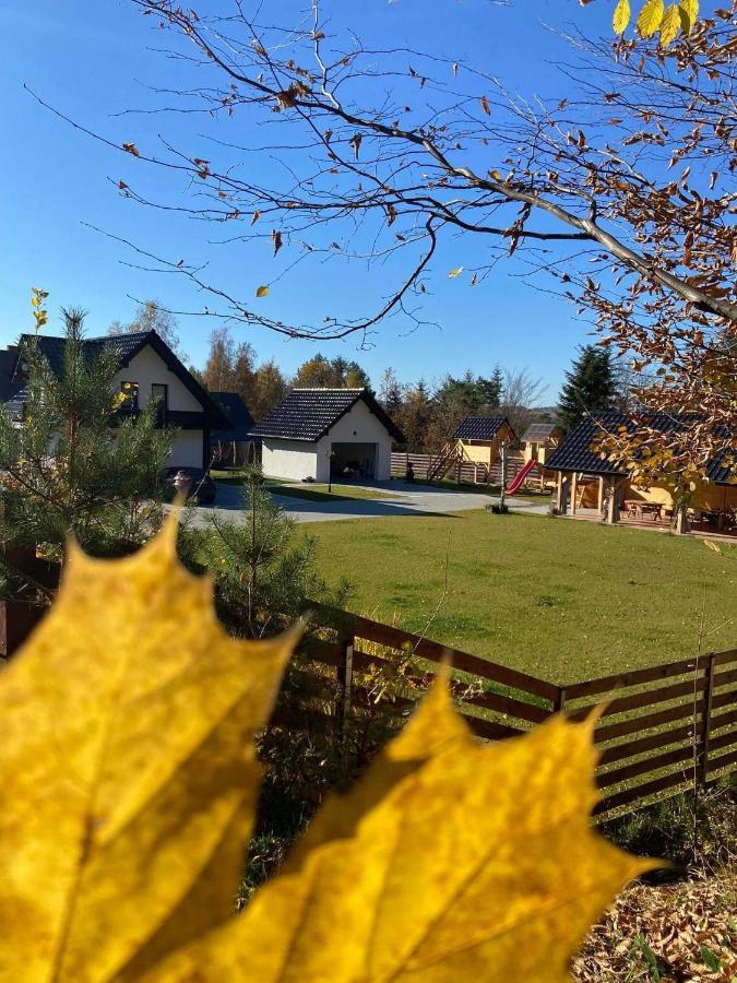 Dom Na Borowkowym Wzgorzu Apartment Palesnica Exterior foto