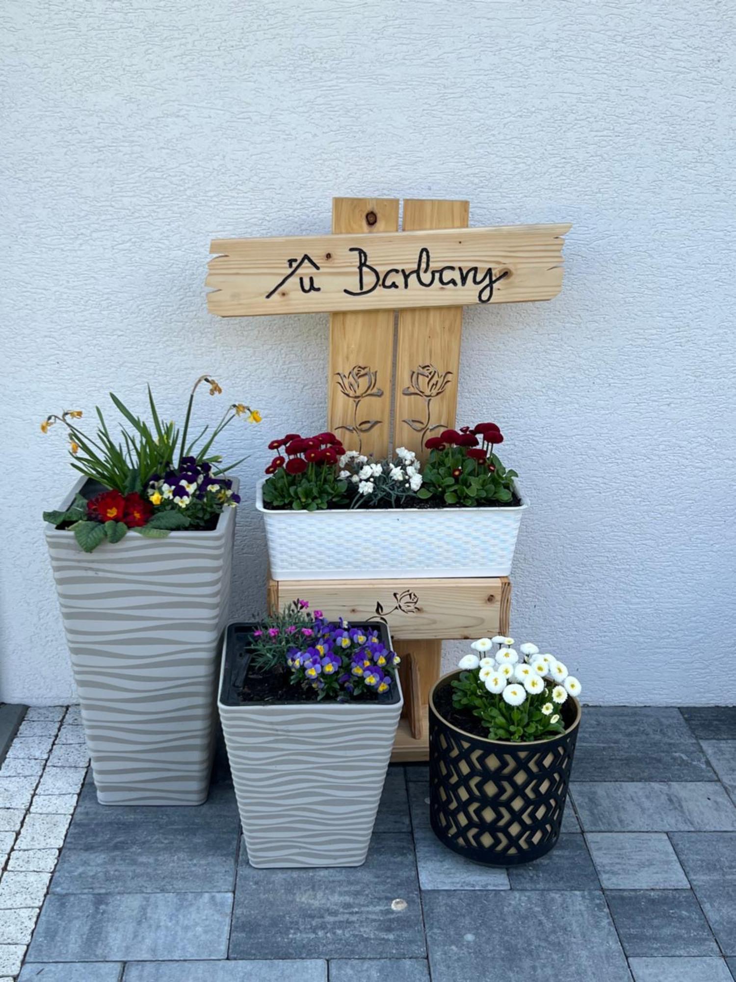 Dom Na Borowkowym Wzgorzu Apartment Palesnica Exterior foto